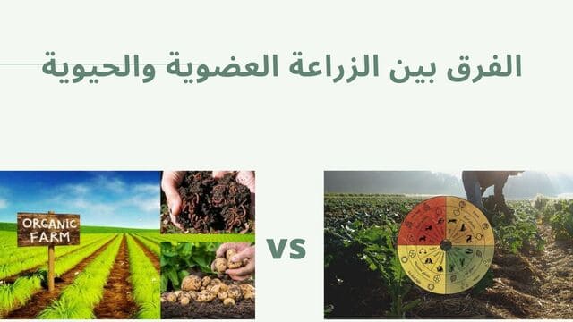 الفرق بين الزراعة العضوية والحيوية وتفصيل كل منهما