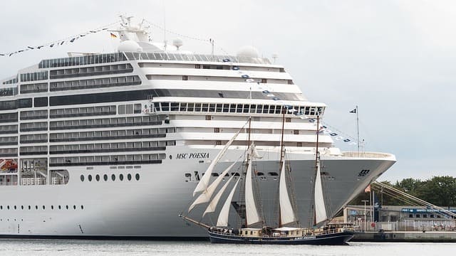 مكافحة الآفات في السفن السياحية 1 cruise-ship