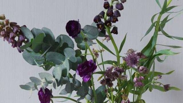 زراعة ابصال الزينة بالخطوات والاعتناء بها بعد انتهاء التزهير 1 rose
