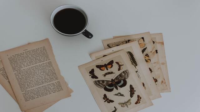 ورق يشرح علم الحشرات وفنجان قهوة