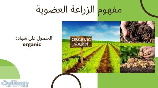 مفهوم الزراعة العضوية
