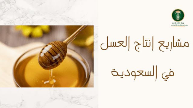 مشاريع انتاج العسل في السعودية