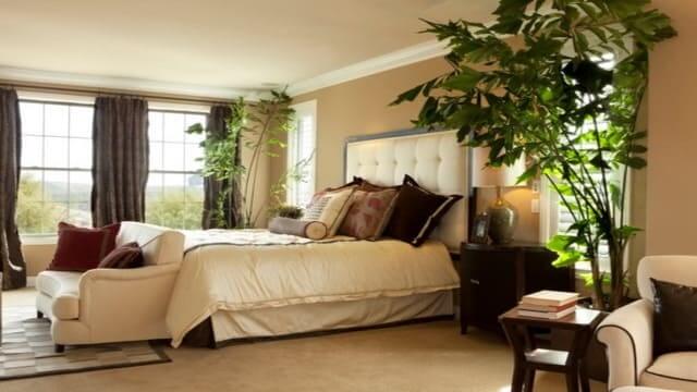 غرفة نوم أنيقة ذات نافذة واسعة تحتوي على نباتات خضراء