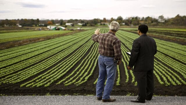شخصين يقفان أمام مزرعة من أجل إعداد خطة عمل مشروع زراعي