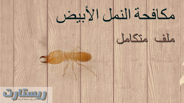 مكافحة النمل الأبيض