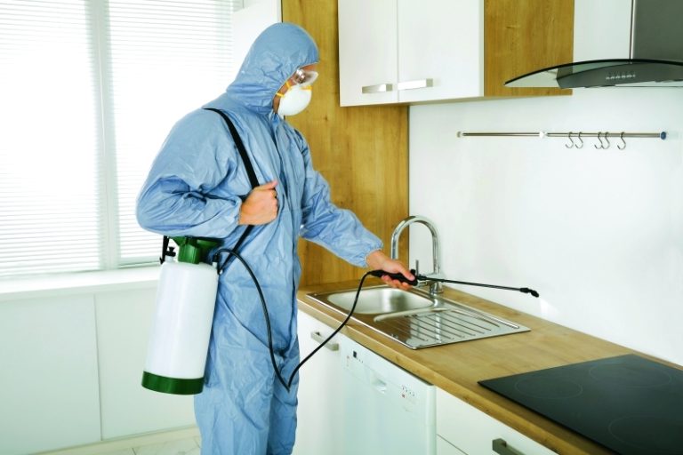 مكافحة الآفات