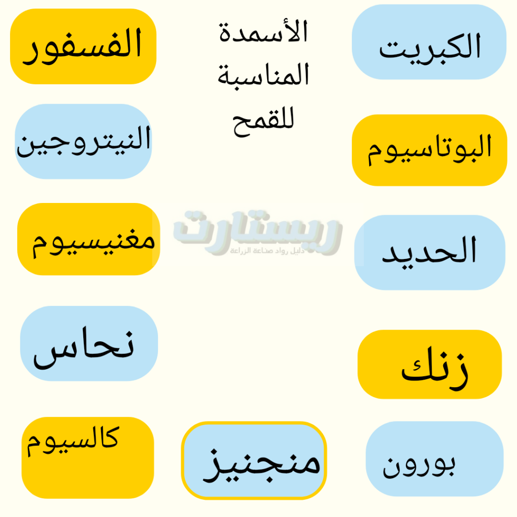 <strong>زراعة القمح من الألف إلى الياء </strong> 2 الأسمدة المناسبة للقمح