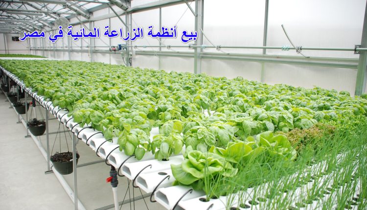 بيع أنظمة الزراعة المائية في مصر