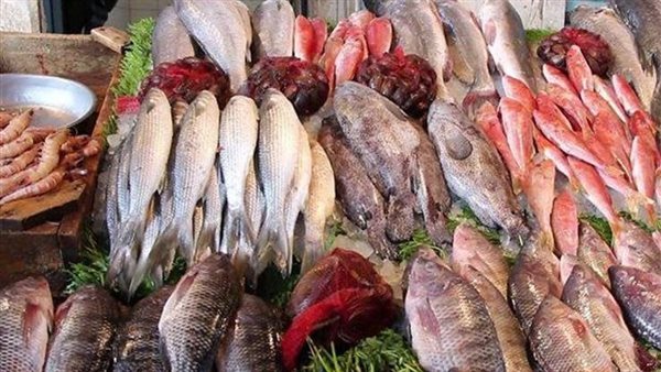 أسعار السمك اليوم