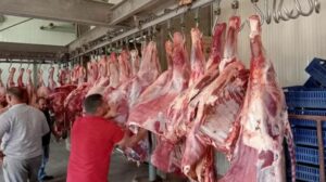 أسعار اللحوم في السوق
