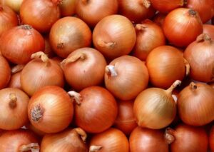 انخفاض أسعار الطماطم وارتفاع البصل