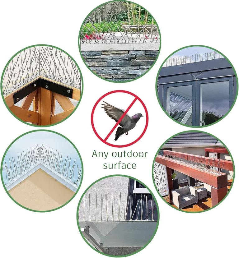 819MS9eEUDL. AC UF10001000 QL80 FMwebp