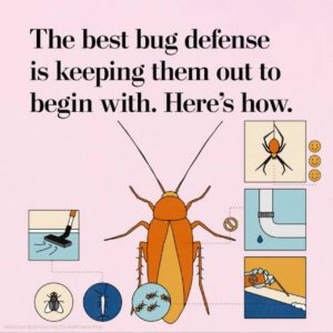 Additional Tips
Inspect regularly: Check for signs of pests, such as droppings or live insects.
Professional help: If you have a persistent pest problem, consider contacting a pest control professional.
By following these tips, you can create an environment that is less attractive to pests and enjoy a pest-free bathroom.