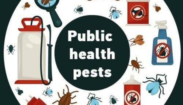 Comprehensive analysis .. Combatting Public Health Pests in the United Arab Emirates 2024