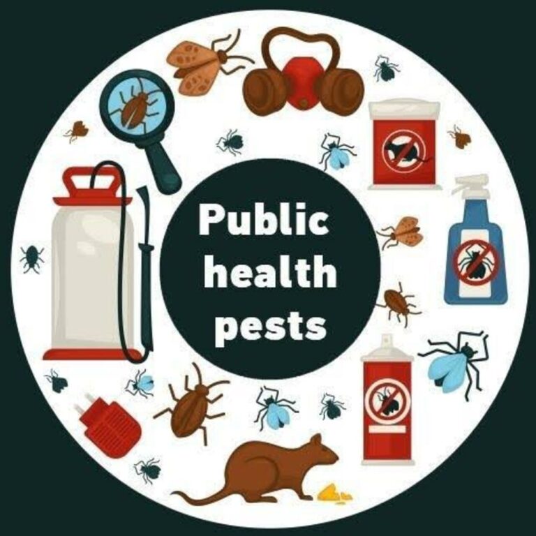 Comprehensive analysis .. Combatting Public Health Pests in the United Arab Emirates 2024