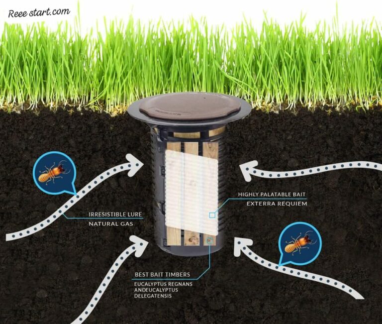 IMG 20240908 WA00291