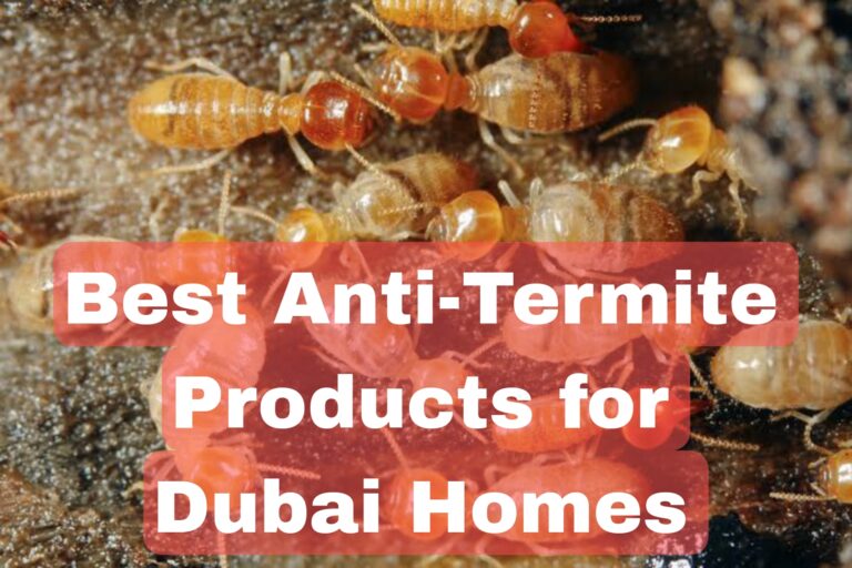 a lot of people search about Best Anti-Termite Products for Dubai Homes,