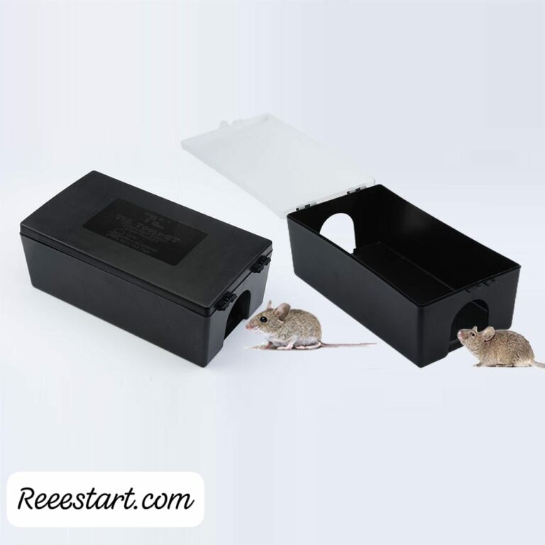 IMG 20241124 WA00491