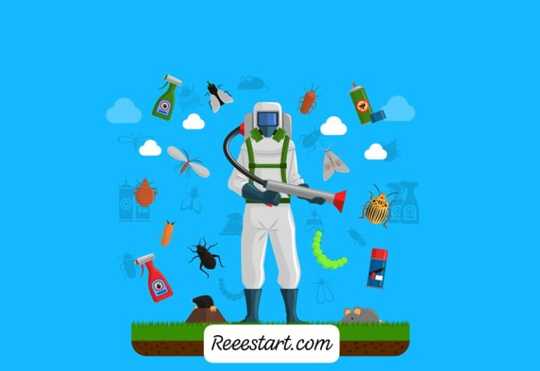 IMG 20250124 WA00431