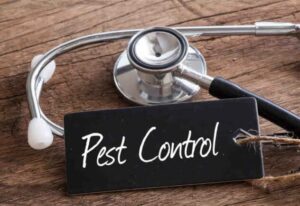 Neglecting Customer Complaints in Pest Control: Negative Effects and Solutions 2025 2 Neglecting Customer Complaints in Pest Control