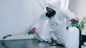 A Detailed Guide to Building a Successful Public Health Pest Control Company in Dubai 2025 1 Building a successful public health pest control company