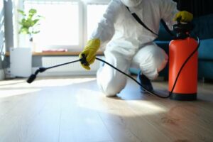 A Detailed Guide to Building a Successful Public Health Pest Control Company in Dubai 2025 2 Building a successful public health pest control company
