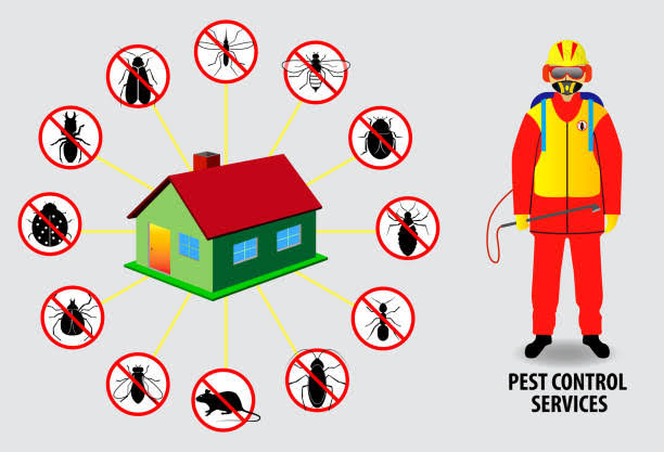 Key Factors Behind Losses in Pest Control Companies