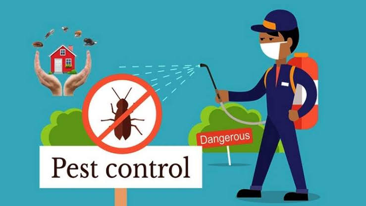 Key Factors Behind Losses in Pest Control Companies