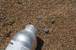 Aluminium Phosphide Fumigation Pricing 2025: Costs, Services, and Key Factors